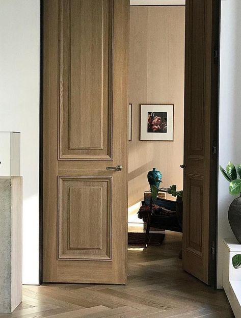 French House Interior, Stained Interior Doors, Paint Doors Interior, Usi Interior, Interior Door Styles, Elegant Entryway, Inside Doors, Foyer Decorating, House Doors