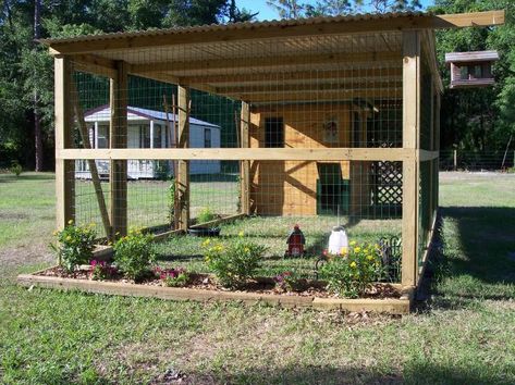 Our Garden Shed Chicken Coop | BackYard Chickens - Learn How to Raise Chickens Shed Chicken Coop, Aviary Ideas, Animal Homes, Cheap Chicken Coops, Vege Garden, Chicken Coup, Chicken Ideas, Raise Chickens, Best Chicken Coop