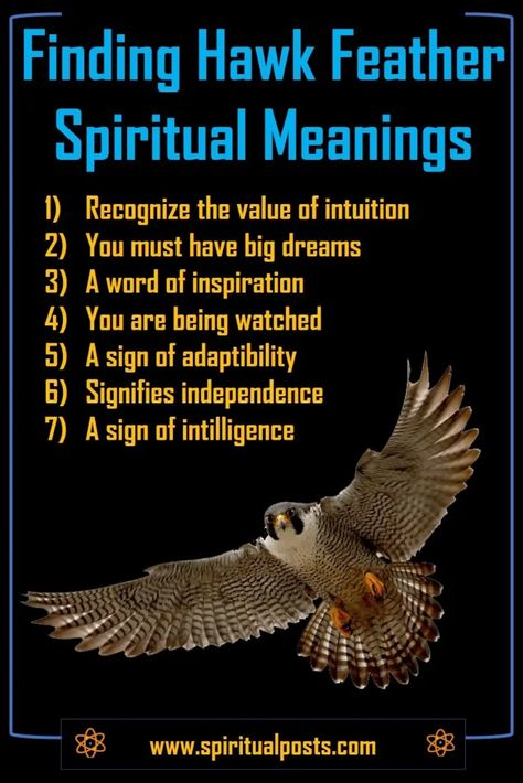 Spiritual Meaning Of Hawk, Hawk Feather Meaning, Hawk Spiritual Meaning, Hawk Quotes, Witchcraft Recipes, Hawk Symbolism, Hawk Spirit Animal, Hawk Spirit, Bird Meaning