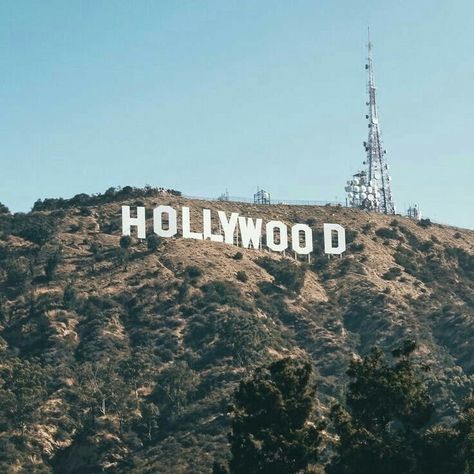 Hollywood Sign Aesthetic, Fairfax County Virginia, Sign Aesthetic, Fairfax County, Hollywood Studio, Life Vision Board, Hollywood Sign, Student Fashion, Future Life