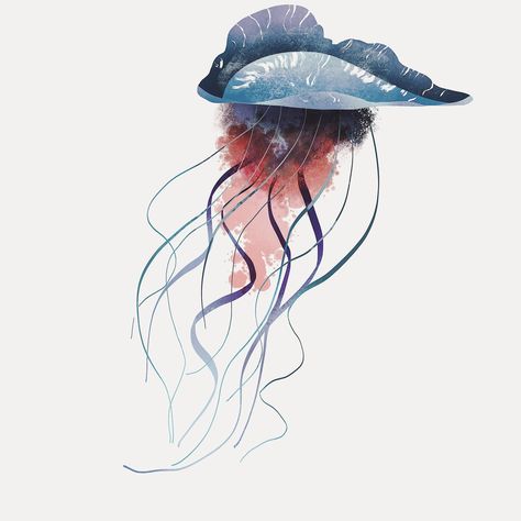 Portuguese Manowar, Tattoo Para, Animal Infographic, Jellyfish Art, Theme Design, Alien Logo, Jellyfish, Digital Illustration, Instagram A