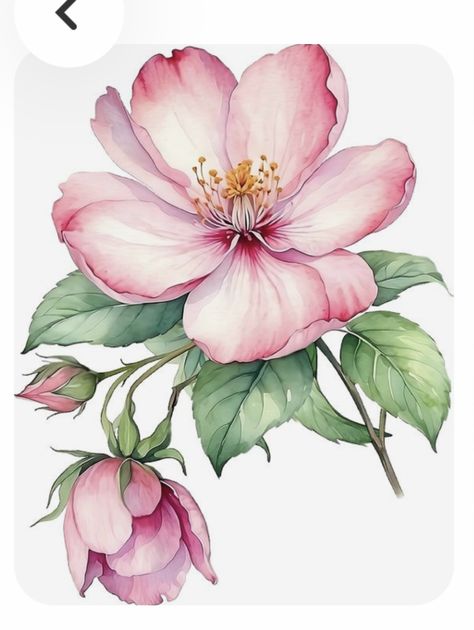 Flower Pattern Drawing, Watercolor Paintings Nature, Fabric Painting Techniques, Round Of Applause, Botanical Flower Art, Flower Image, Watercolor Architecture, Flower Art Drawing, Watercolor Flower Art