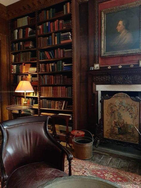 Dark Academia Furniture, Victorian House Aesthetic, Dark Academia House, Vintage Home Library, Ornate Fireplace, Academia House, Dark Academia Home, Cozy Reading Corner, Academia Room