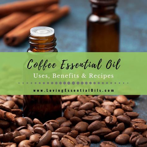 Coffee Essential Oil Uses, Benefits & Recipes - EO Spotlight Coffee Essential Oil, Nutmeg Essential Oil, Helichrysum Essential Oil, List Of Essential Oils, Essential Oil Safety, Coffee Aroma, Sugar Scrub Recipe, Cedarwood Oil, Vanilla Essential Oil