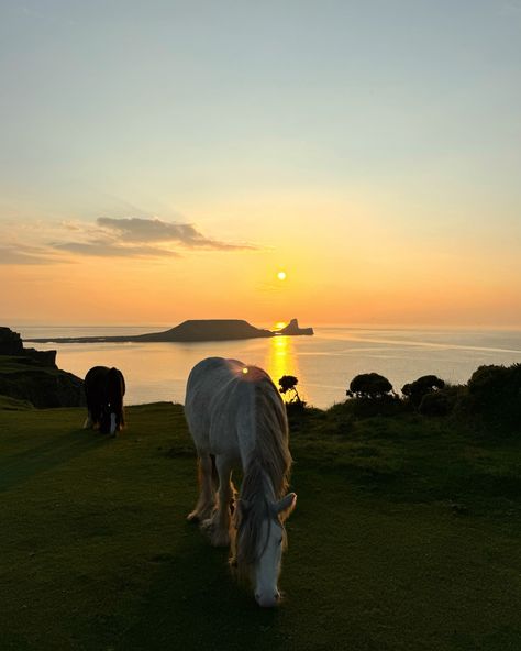 Still in awe of this sunset and Pippa cuddles (last pic 🥹) From a rainy afternoon to *surprising* clear skies, wild horses grazing and this stunning view, it really felt SO magical ✨ And spot the little seal in the water for an extra suprise!! 📍 Rhossili Bay, Gower Pennisula #gowerpeninsula #rhossili #sunsetlovers #fyp #hikinggirls #llangennith #visitwales #shehikes #wales #wildhorses #sunsetview Rhossili Bay, Horses Grazing, Gower Peninsula, Rainy Afternoon, Visit Wales, Clear Sky, Sunset Views, Wild Horses, Stunning View