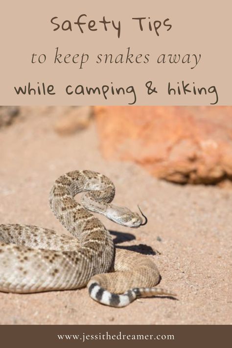 Camping safety tips Camping Safety Tips, What To Take On A Day Hike, Hiking Safety Tips, Van Life Safety, How To Prepare For A Hike, Hiking Gadgets, Hiking Safety, Outdoor Technology, Camping Safety