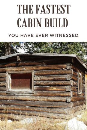 Build A Cabin, Building A Small Cabin, Primitive Cabin, Diy Log Cabin, Cheap Cabins, Cabin Build, Log Cabin Plans, How To Build A Log Cabin, Small Cabin Plans