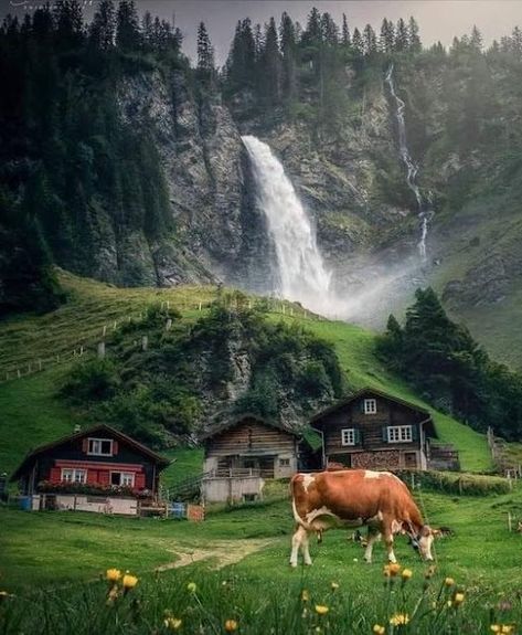 Chof chof - Recuerdo - Google Fotos Switzerland Wallpaper, Pastel Background Wallpapers, Mountain Wallpaper, Switzerland Travel, Beautiful Scenery Nature, Most Beautiful Places, Great View, Nice View, Travel Dreams