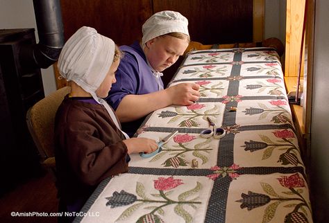 Amische Quilts, Amish Living, Crafts For Sale, Amish Culture, History Of Quilting, Making Quilts, Lancaster County Pa, Amish Community, Amish Quilts