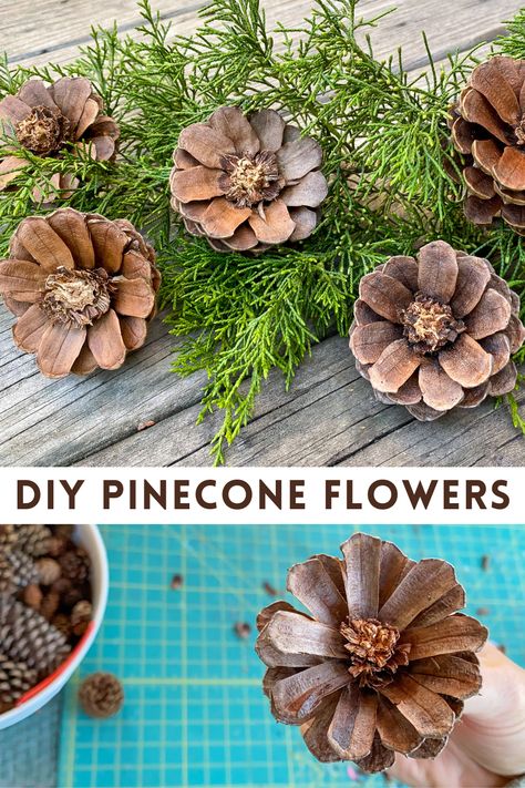 Pine Cone Crafts Diy Fall, Pinecone Baskets How To Make, Pinecone Mobile Diy, Pinecone Owls Diy, Pinecone Flower Ornament, Flowers From Pinecones, Fall Pine Cone Wreath Diy, Pinecone Holiday Crafts, Diy Pinecone Flowers With Stems