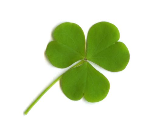 Why do we put up pictures of three-leaved clovers, or small red-haired men in celebration of Saint Patrick's Day?  Find out why in this guide to the folklore, traditions, and symbolism of Saint Paddy's Day. Bible Object Lessons, Abraham Hicks Videos, Esther Hicks, Object Lessons, Paddys Day, Four Leaves, Happy St Patricks Day, Luck Of The Irish, Children's Ministry