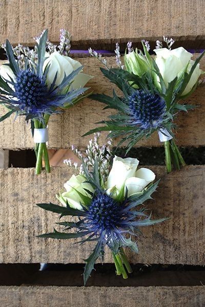 Cool Boutonniere Ideas, Solawood Flowers Wedding Ideas, Blue Boutonniere Wedding, Thistle Wedding Flowers, Wedding Flowers Blue, Blue Wedding Decor, Blue Boutonniere, Thistle Wedding, Blue Wedding Bouquet