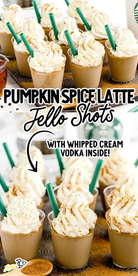 Pumpkin Spice Drinks Alcohol, Coffee Jello Shots, Coffee Jello, Vanilla Coffee Creamer, Flavored Coffee Creamer, French Vanilla Coffee, Spiced Drinks, Pudding Shots, Jello Shot Recipes