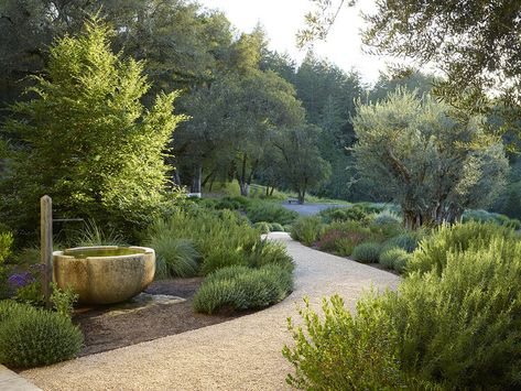 Mediterranean Garden Design, Valley Landscape, Mediterranean Garden, Evergreen Shrubs, Landscape Architecture, Water Features, Garden Inspiration, Outdoor Garden, A Garden