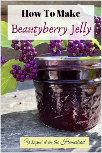 Beautyberry Jelly Recipe, Beauty Berry Jelly Recipe, Beautyberry Jelly, Beautyberry Bush, Homestead Projects, Today Recipes, Beauty Berry, Farm Cooking, Couples Recipes