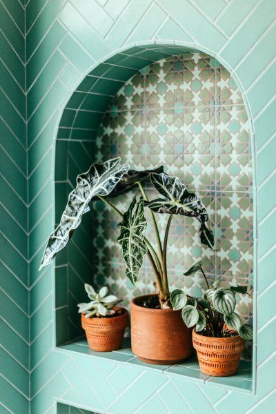 The Return of the Jungalow | Fireclay Tile Terracotta Bathroom Ideas, Alocasia Plant, House Beautiful Magazine, Justina Blakeney, Jungalow Style, Fireclay Tile, Tile Trends, Shower Niche, Botanical Wallpaper