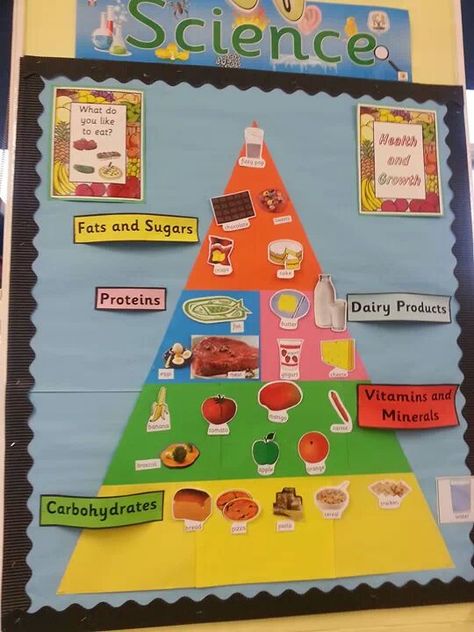 Children draw pictures of food and add to the food pyramid as the topic progresses. Preschool Food Pyramid, Food Theme Board Ideas For Preschool, Food Theme Board, Food And Nutrition Project Ideas, Food Pyramid Preschool, Food Pyramid Drawing, Food Pyramid Project, Food Theme Preschool, Food Pyramid For Kids