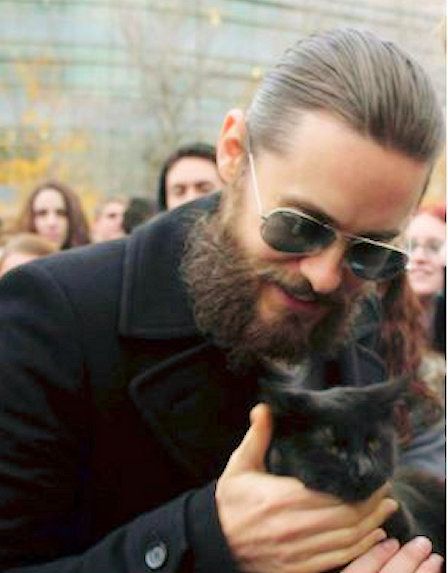 Jared Leto and his Cat Celebrities With Cats, Men With Cats, International Cat Day, A Black Cat, Healthy Pets, Cat People, Cute Celebrity Guys, Jared Leto, Animals Friends