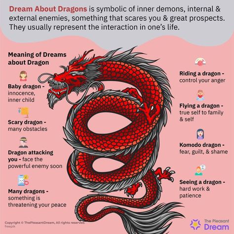 There are various reasons why one would dream about dragon. Dragons are mythical creatures that were quite important and popular in the past. In cultures where dragons are popular, they represent different and various aspects of life. #dreamaboutdragons #dragondreammeanings #dragon #dragondreams #dreammeaning #dreaming #dreamsymbolism #thepleasantdream #dreaming #dreams #animalindream #animals #attack Dragon Meaning, Tattoo Dream, God Of Dreams, Phoenix Tattoo Feminine, Dragon Mythology, Dream Meaning, Dragon Dreaming, Improve Nutrition, Animal Spirit Guides