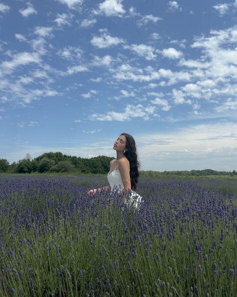 dreamiest high tea at the lavender farm 🪻 @avalonlavender @pompandcirc @pianopianotherestaurant Lavender Farm Photoshoot, Lavender Fields Photography, Farm Photoshoot, Lavender Field, Purple Themes, Lavender Farm, Fields Photography, Book Writing, Lavender Fields