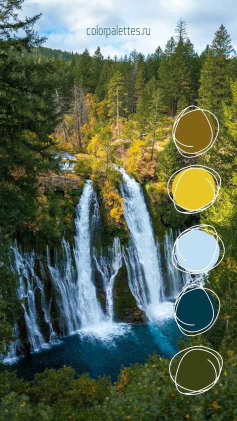 Light Blue Green Yellow Color Palette, Yellow Blue Green Color Palette, Blue Yellow Colour Palette, Green Blue Yellow Color Palette, Blue Yellow Green Color Palette, Blue Green Yellow Color Palette, Light Green Palette, Light Blue Color Scheme, Yellow And Green Color Palette