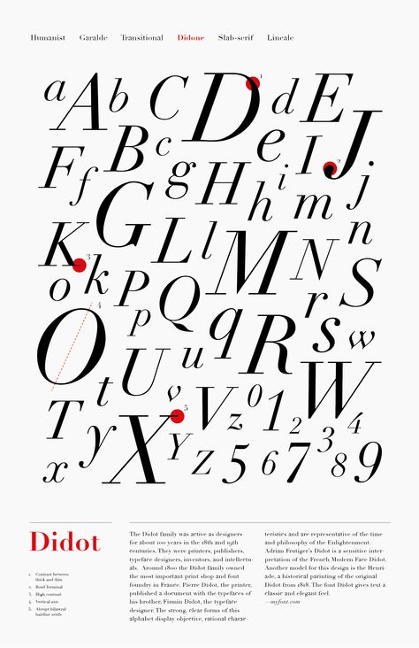 Type Classification, Type Poster, Poster Series, Type Posters, Word Search Puzzle, Typography