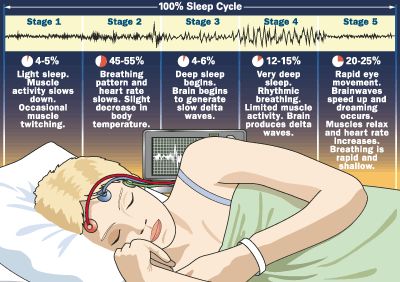 Everyone knows sleep is important but science went ahead and proved it anyway. Here's a bunch of cool info on sleep! ( I <3 sleep! ) Sleep Calculator, Info Board, Wake Up In The Morning, E Mc2, Sleep Cycle, It Goes On, Fall Asleep, Cleaning Tips, Zumba