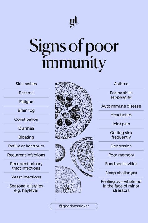 Did you know there are actually four different immune systems in the body?    - Microbiome in the GI tract - Kupffer cells in the liver - White blood cells found all over your body - Glia cells in the brain   As our immune system is so systemic, having a poorly functioning immune system affects various organ systems and can lead to body-wide symptoms.    If you’re showing a number of these symptoms, perhaps your immune system and your gut need some addressing.  #goodnesslover #immunesystem Natural Healing Remedies Immune System, Eoe Disease, Cell Salts, Medical Projects, How To Boost Your Immune System, Functional Health, Homeopathy Remedies, Holistic Diet, Nutrition Science