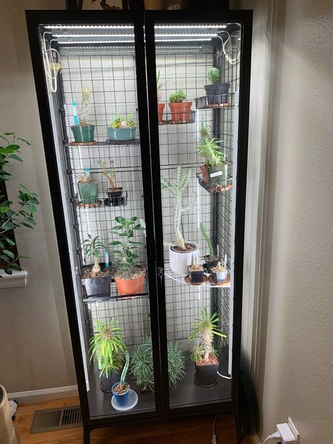 Milsbo Greenhouse Cabinet, Plant Cabinet Diy, Ikea Milsbo Greenhouse, Ikea Milsbo Cabinet, Ikea Indoor Garden, Milsbo Cabinet, Milsbo Greenhouse, Ikea Glass Cabinet, Ikea Milsbo