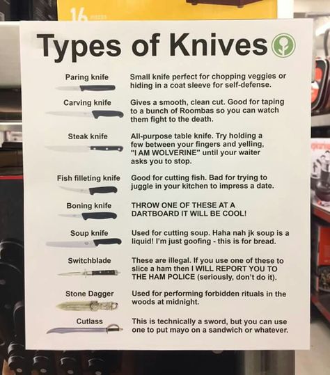 Obvious Plant, Writing Dialogue Prompts, Creative Writing Tips, Types Of Knives, Forensic Science, Writing Inspiration Prompts, Writing Characters, Book Writing Inspiration, Writing Dialogue