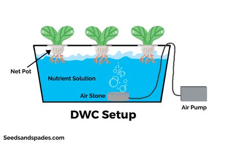 Indoor Hydroponic Gardening, Home Hydroponics, Hydroponic Garden, Growing Your Own Food, Acid Base Balance, Hydroponics Diy, Garden Remedies, Hydroponic Growing, Aquaponics System