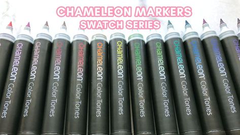 Color Swatching my Chameleon Markers Chameleon Markers, Supply Organization, Art Supply Organization, Pen Collection, Brush Pens, Art Supply, Lettering Tutorial, Supplies Organization, Youtube Art