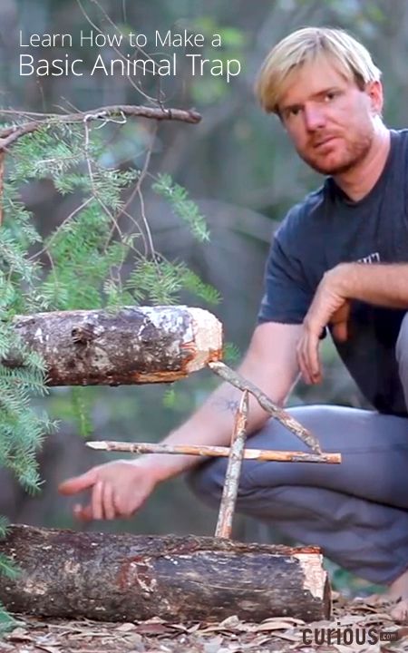 In this lesson with survivalist Tom McElroy, learn how to make a figure four deadfall animal trap that works in just about any survival situation. Animal Traps, John Bell, Bushcraft Skills, Survival Techniques, Zombie Survival, Homestead Survival, Wilderness Survival, Survival Food, Camping Survival