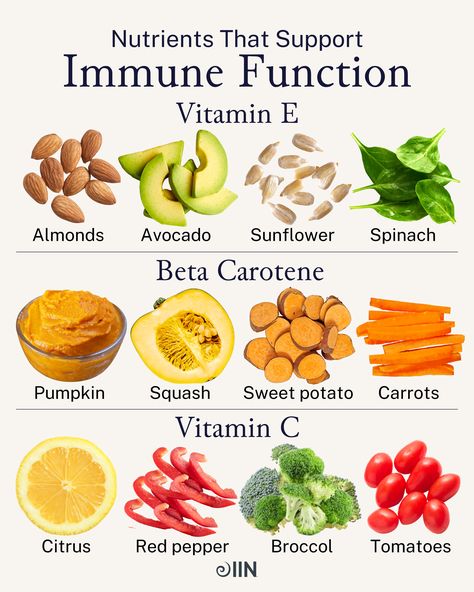 What's at the root of seasonal sickness and allergies? Inflammation. 🤧   IIN faculty member and functional medicine leader, Andrew Weil, MD, created the Anti-Inflammatory Diet and Food Pyramid to provide guidelines for supporting a healthy immune system through food all year long.⁠ ⁠ Tap the link for a deep dive into Dr. Weil's food pyramid!  #vitaminc #vitamine #betacarotene #pumpkin #immunefunction #nutrition #diet #healthychoices #brainfood #sweetpotatoes Zinc Foods, Zinc Rich Foods, Cell Function, Andrew Weil, Food Health Benefits, White Blood, Food Pyramid, Power Foods, Gut Bacteria