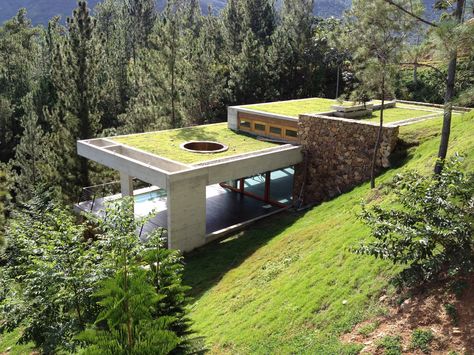 Case Sotterranee, A House In The Woods, Earth Sheltered Homes, Grass Roof, Architecture Company, Earth Sheltered, Hillside House, Underground Homes, Earth Homes