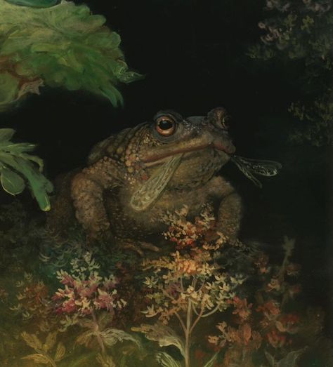 Toad Photograph, Frog And Toad Aesthetic, Toad Painting, Toad Aesthetic, Hedge Witchcraft, Annie Stegg, Vintage Portraits Painting, Frog Aesthetic, Toad In The Hole