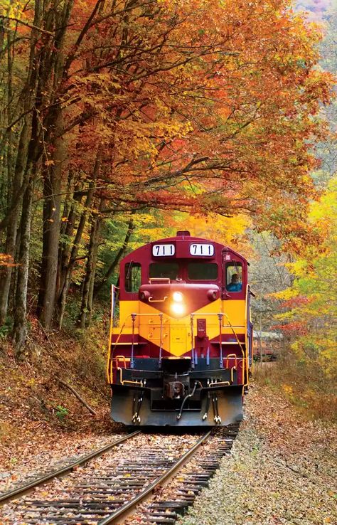 Bryson City North Carolina, Dark Mountains, Bryson City, Old Trains, Train Pictures, Train Journey, Blue Ridge Parkway, Smoky Mountain, Smoky Mountain National Park