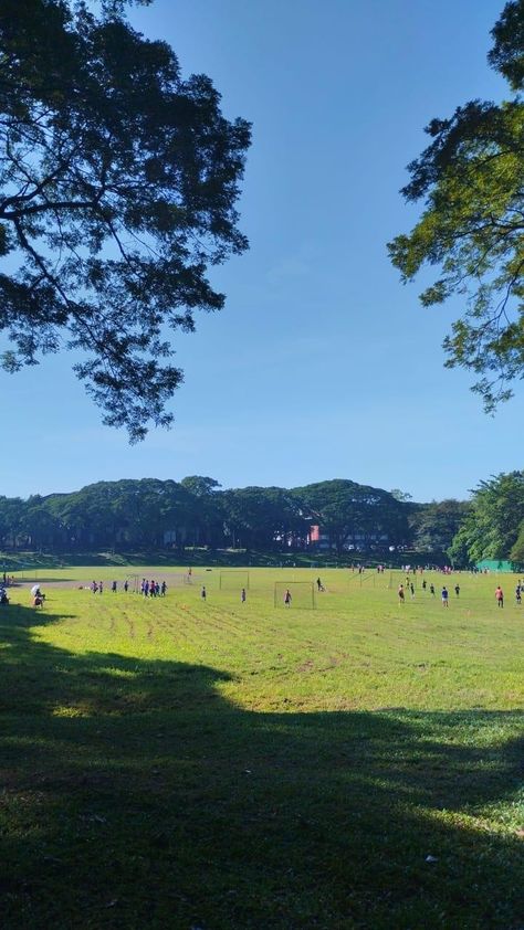 open field | sunken garden UP Diliman Up Sunken Garden, Sunken Garden Up Diliman, Up Diliman, Sunken Garden, Girls Night Party, Insta Profile, People Watching, Baguio, Open Field