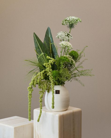 #flowerarrangement . . . #tulipflowerdubai #TF_flowerdubai Office Flower Arrangements, White And Green Floral Arrangements, Flower Arrangements Vase, Ikebana Flowers, Tropical Vases, Plant Arrangement, Vase Plant, Modern Arrangements, Office Flowers