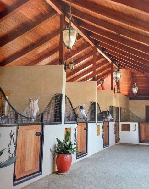 Horse Stables Design, Luxury Horse Barns, Dream Barn Stables, Diy Horse Barn, Horse Barn Ideas Stables, Horse Barn Designs, Dream Stables, Dream Horse Barns, Horse Barn Plans