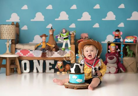 Sesame Street Birthday Party Ideas Food, Toy Story Cake Smash, Disney Baby Costumes, Smash Cake First Birthday, Cake First Birthday, Half Birthday Baby, Toy Story Party Decorations, Toy Story Baby, Baby First Birthday Cake