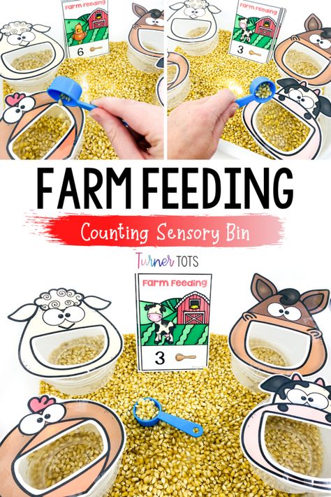 Counting Sensory Bin, Feed The Farm Animals, Farm Math Activities, Farm Theme Preschool Activities, Farm Math, Farm Activities Preschool, Farm Animals Preschool, Farm Lessons, Farm Animals Activities