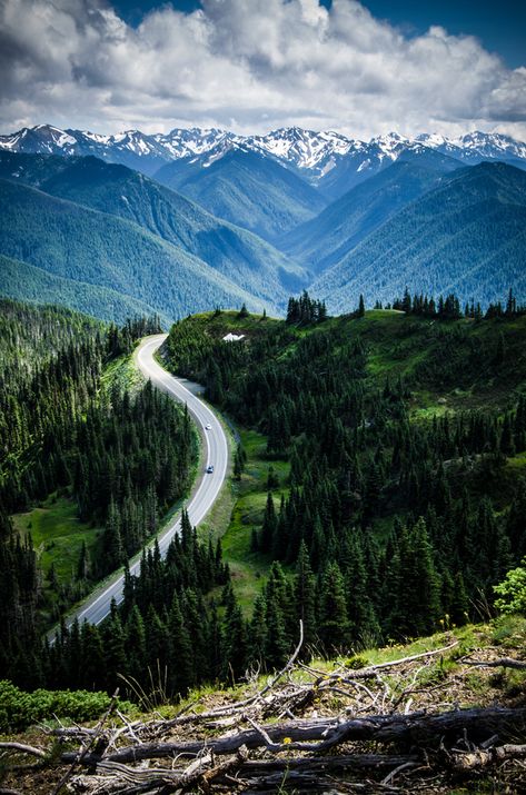 Olympic National Park, Washington. Olympic National Park is a United States national park located in the state of Washington, in the Olympic Peninsula. The park has four basic regions: the Pacific coastline, alpine areas, the west side temperate rainforest and the forests of the drier east side. Olympic National Park Washington, Winding Road, Olympic National Park, Alam Yang Indah, Bora Bora, The Plan, In The Mountains, Places Around The World, Vacation Spots