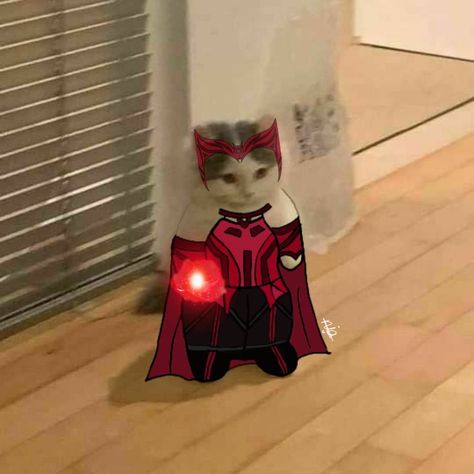 Wanda Maximoff Wandavision, Gatos Cool, Wanda Maximoff, Doctor Strange, Avengers, Witch, Marvel, On Twitter, Twitter