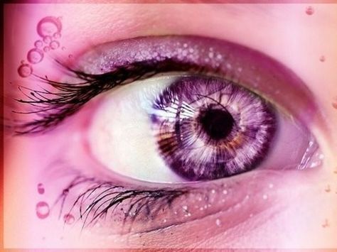 I got: Your Eye Color Would Be Pink!! Which Unnatural Eye Color Would You Have? (For Girls) Red Hair Tumblr, Kohl Makeup, Eyes Ideas, Butterfly Eyes, Rainbow Eyes, Photos Of Eyes, Pink Eye, Purple Eyes, Pink Eyes