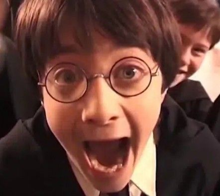 Phoenix Harry Potter, Harry Potter Groups, Harry Potter Ron And Hermione, Harry Potter Ron Weasley, Harry Potter Stickers, Funny Harry Potter Jokes, Harry Potter Memes Hilarious, Harry Potter Kids, Harry Potter Icons