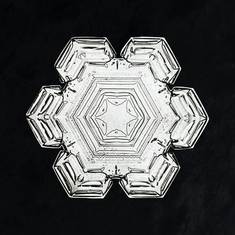 David Hinds, Snowflake Photos, Png Stickers, Snow Crystal, Wallpapers Backgrounds, Vintage Crystal, Modern Frames, Modern Wood, Vintage Images