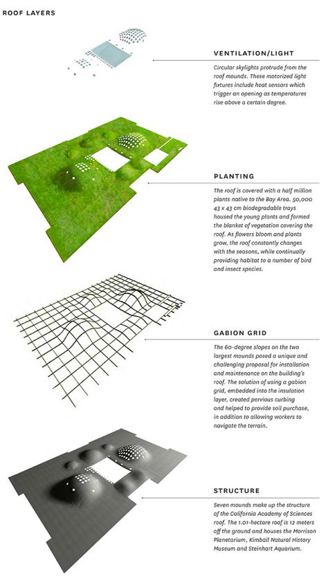 http://www.ideas.swagroup.com/california-academy-of-sciences-roof-three-years-later/formatted-cal-academy-of-sciences_002/ California Academy Of Sciences, Project Presentation, Creative Hub, Architecture Concept Drawings, Renzo Piano, Landscape Architecture Design, Roof Structure, Architecture Design Concept, Diagram Architecture