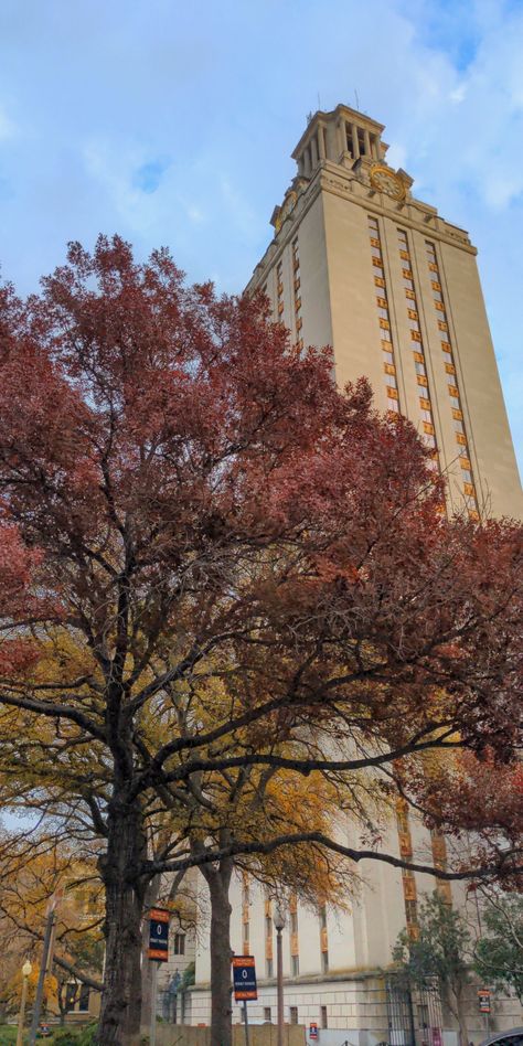 Red and yellow trees with the UT Austin Bell and clock tower. Austin Texas. Fall time. Blue sky and white fluffy clouds. Fall In Austin Texas, Ut At Austin, Ut Austin Aesthetic, Ut Austin Campus, Austin Aesthetic, Tennessee College, Ut Tower, Texas College, College Vision Board