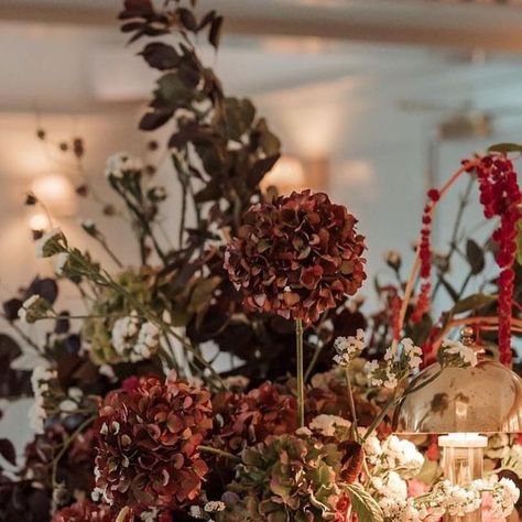 Kin House on Instagram: "Autumnal hues found at bar with deep burgundy hydrangeas and textured amaranthus 🍂

📷 @lexhamiltonfloralstudio" Kin House, Deep Burgundy, Hydrangea, Texture, Bar, On Instagram, Instagram